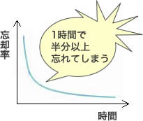 エビングハウスの「忘却曲線」